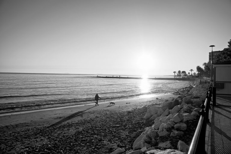 Fotografía de Alfonso Santos Alcalá — L1002085