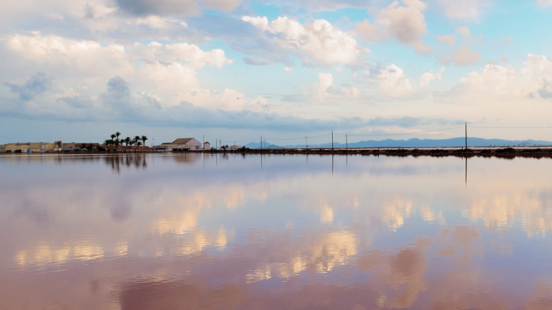 Fotografía de Alfonso Santos Alcalá — _DSF1393-1