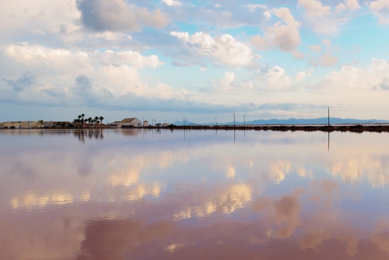 Fotografía de Alfonso Santos Alcalá — _DSF1393-1