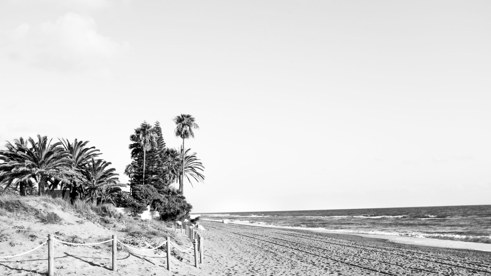 Fotografía de Alfonso Santos Alcalá — _DSF1872-1