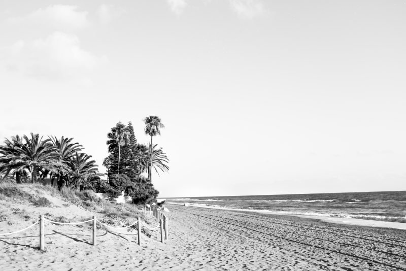 Fotografía de Alfonso Santos Alcalá — _DSF1872-1