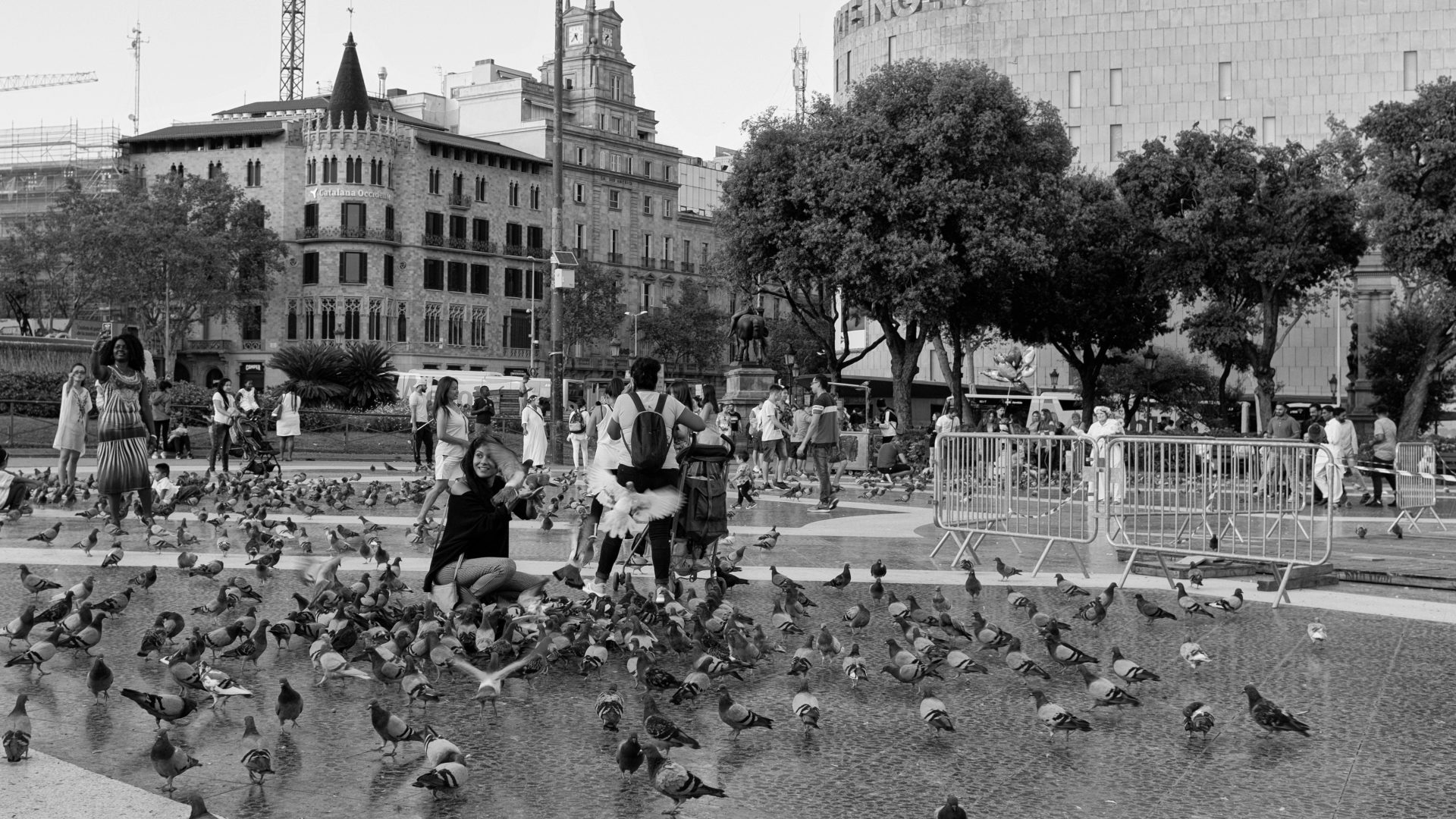 Fotografía de Alfonso Santos Alcalá — _DSF2178