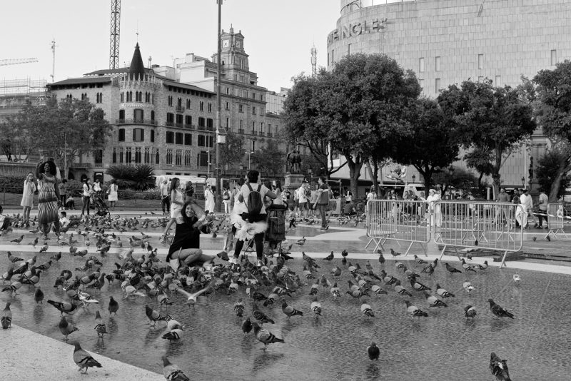 Fotografía de Alfonso Santos Alcalá — _DSF2178