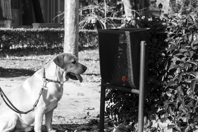Fotografía de Alfonso Santos Alcalá — L1000211-1