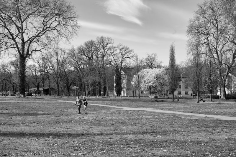 Fotografía de Alfonso Santos Alcalá — L1000591 copia