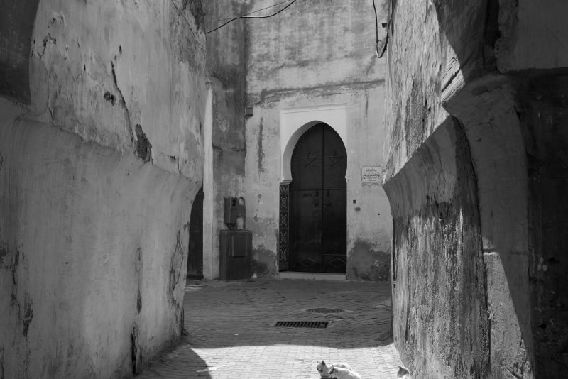 Fotografía de Alfonso Santos Alcalá — L1000796 copia