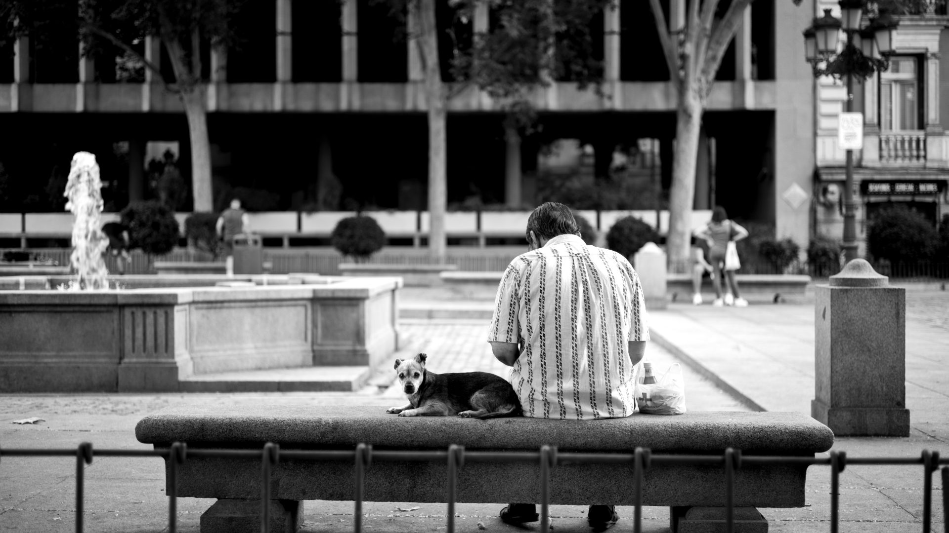 Fotografía de Alfonso Santos Alcalá — L1001026-1 copia