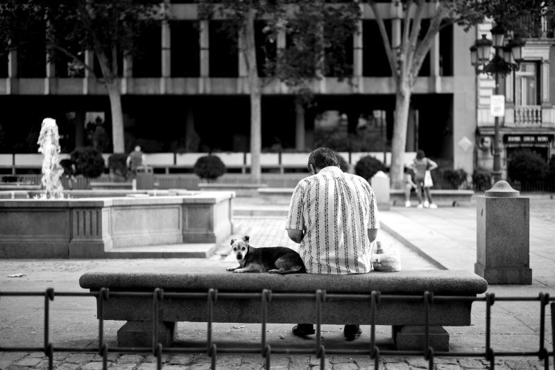 Fotografía de Alfonso Santos Alcalá — L1001026-1 copia