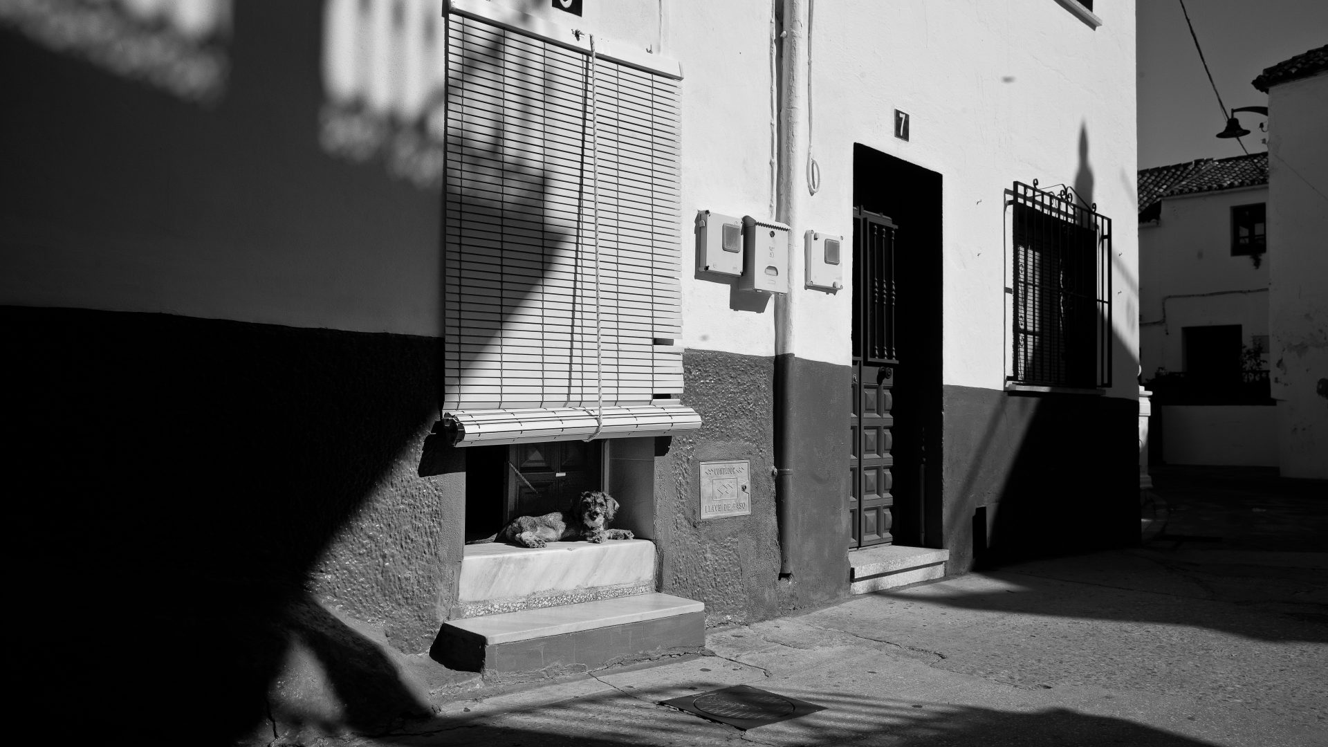 Fotografía de Alfonso Santos Alcalá — L1001789