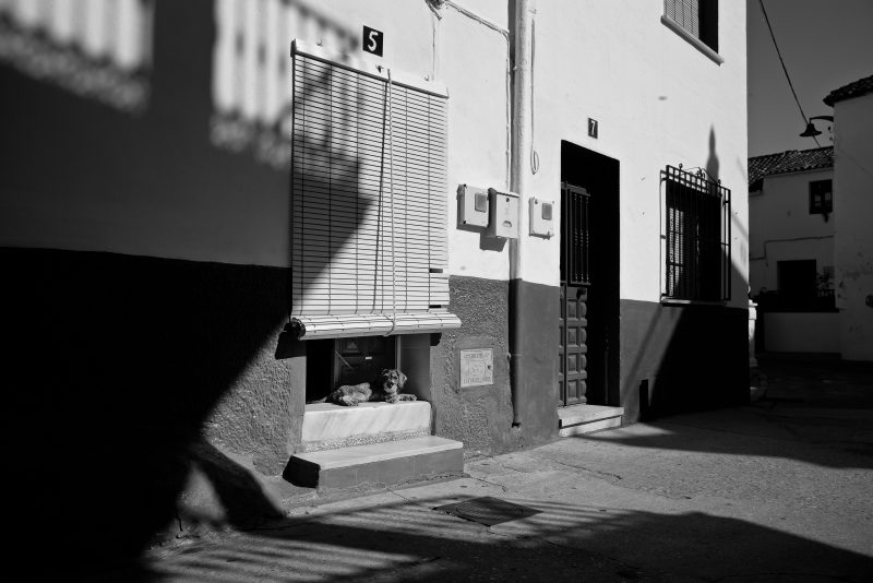 Fotografía de Alfonso Santos Alcalá — L1001789