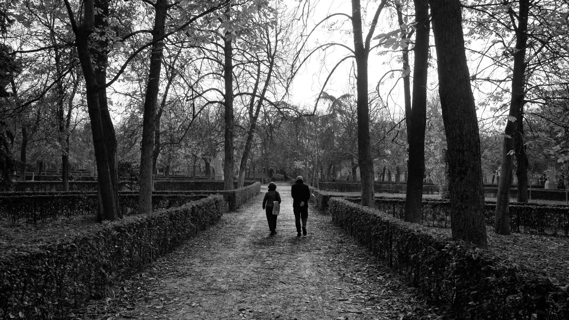 Fotografía de Alfonso Santos Alcalá — L1001822