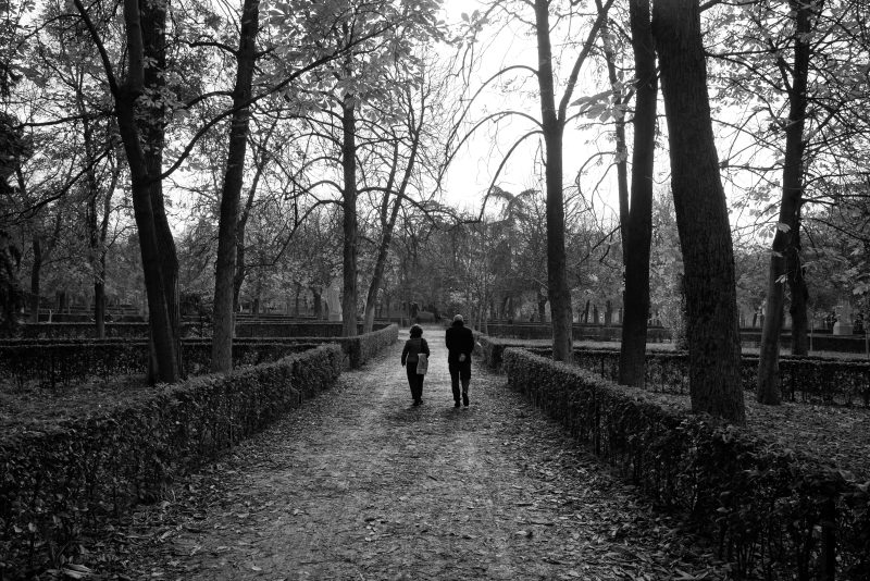 Fotografía de Alfonso Santos Alcalá — L1001822