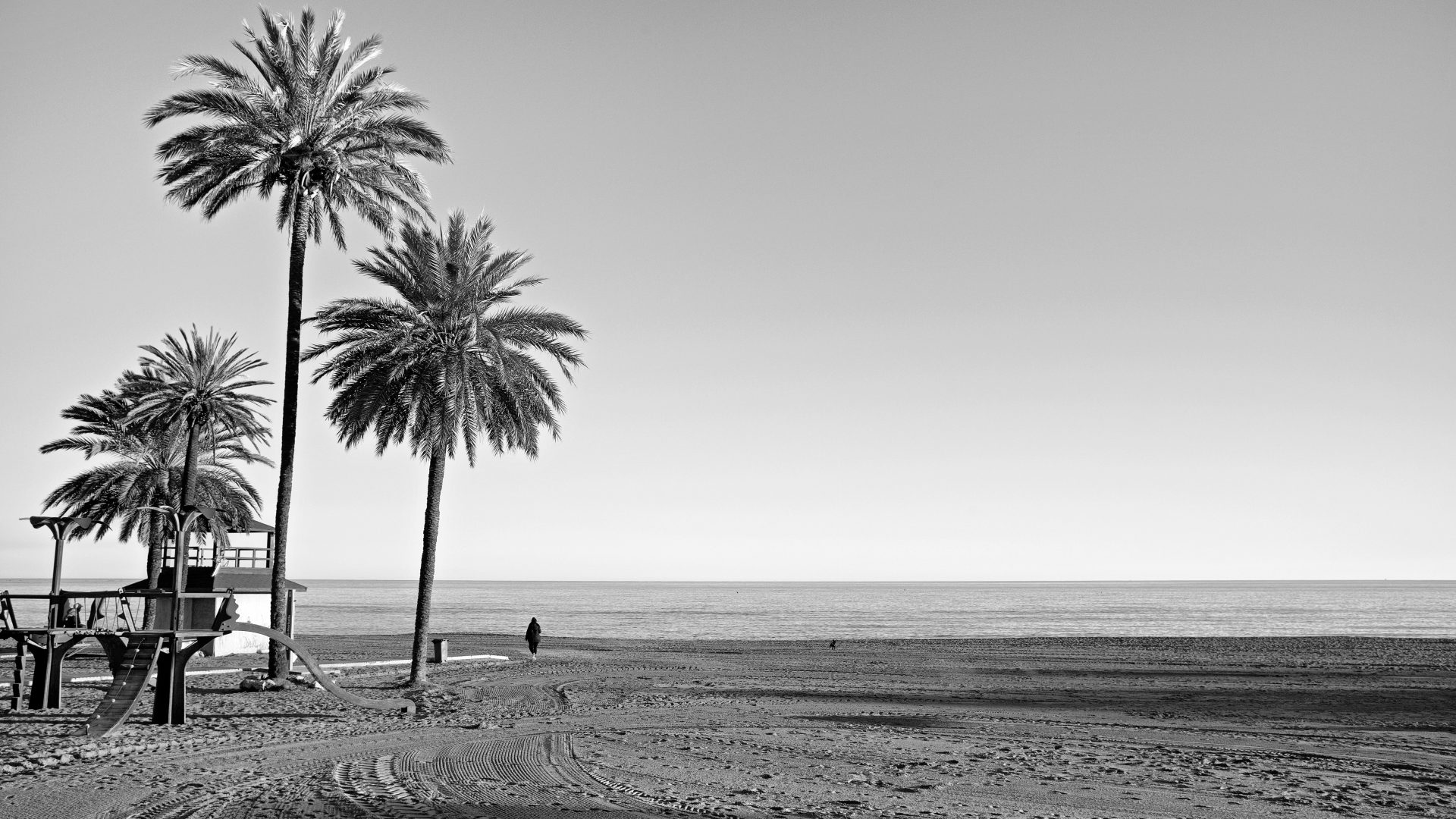 Fotografía de Alfonso Santos Alcalá — L1002053 bn