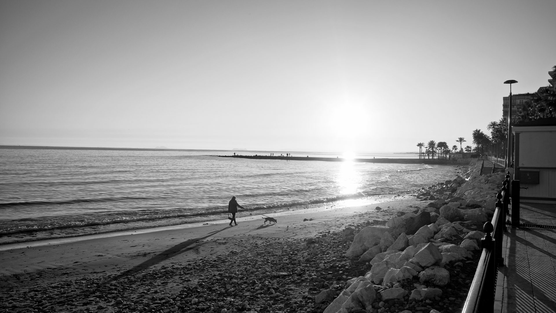 Fotografía de Alfonso Santos Alcalá — L1002085