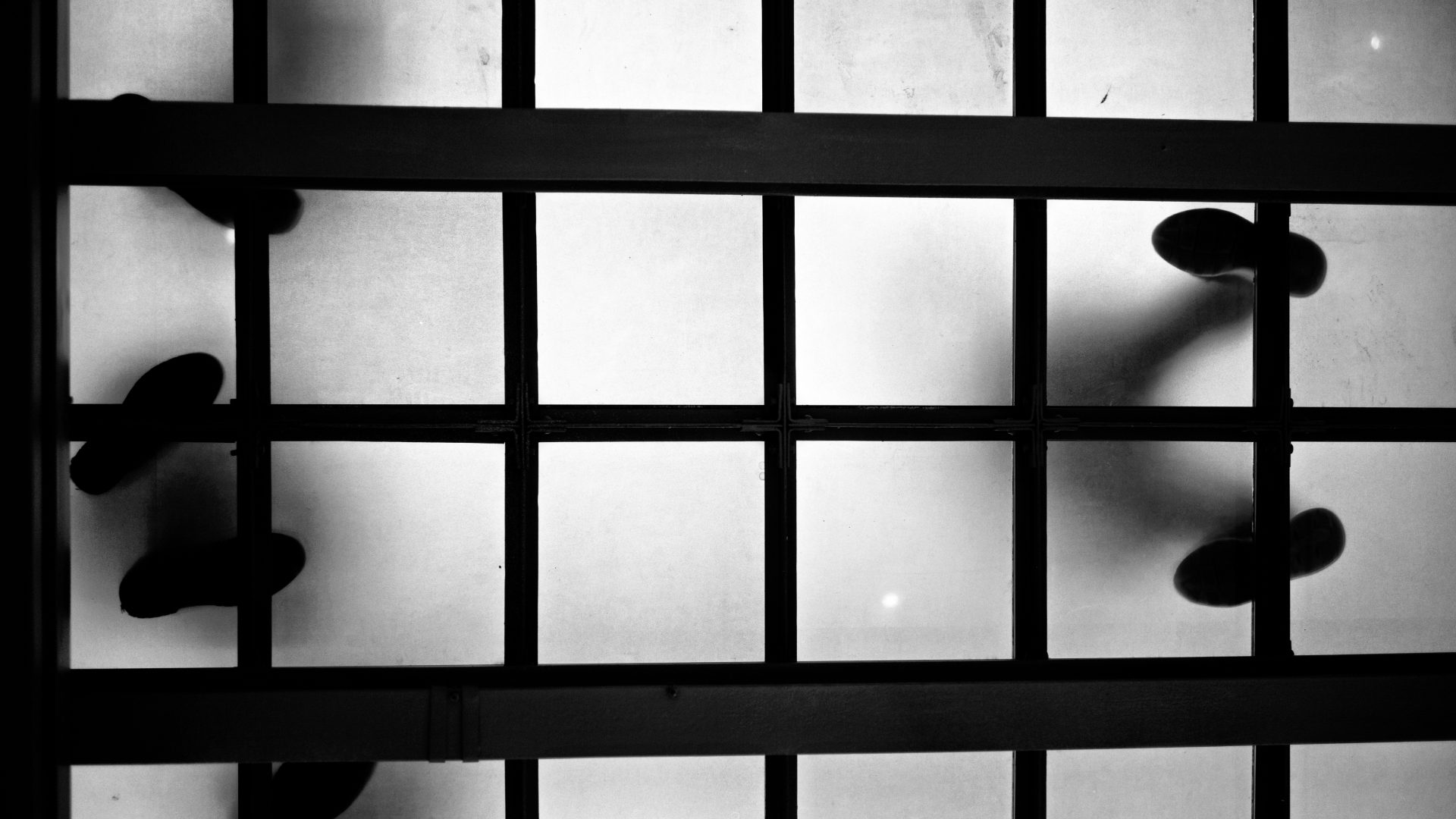 Fotografía de Alfonso Santos Alcalá — L1002420