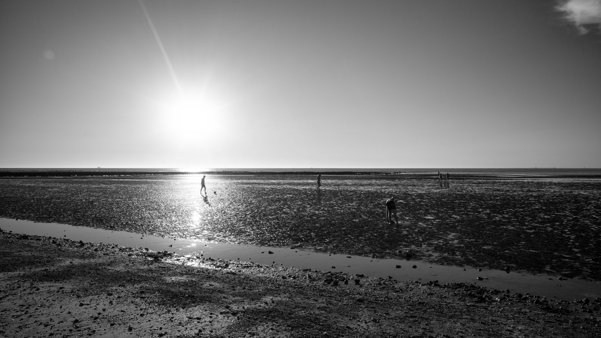 Fotografía de Alfonso Santos Alcalá — L1002441