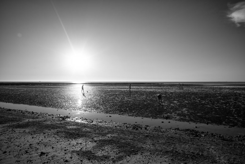 Fotografía de Alfonso Santos Alcalá — L1002441