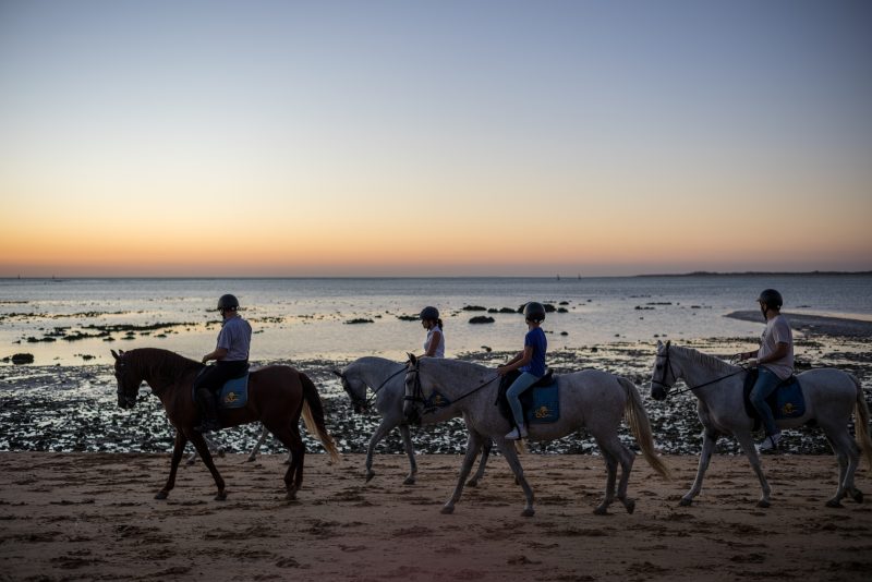 Fotografía de Alfonso Santos Alcalá — L1002550