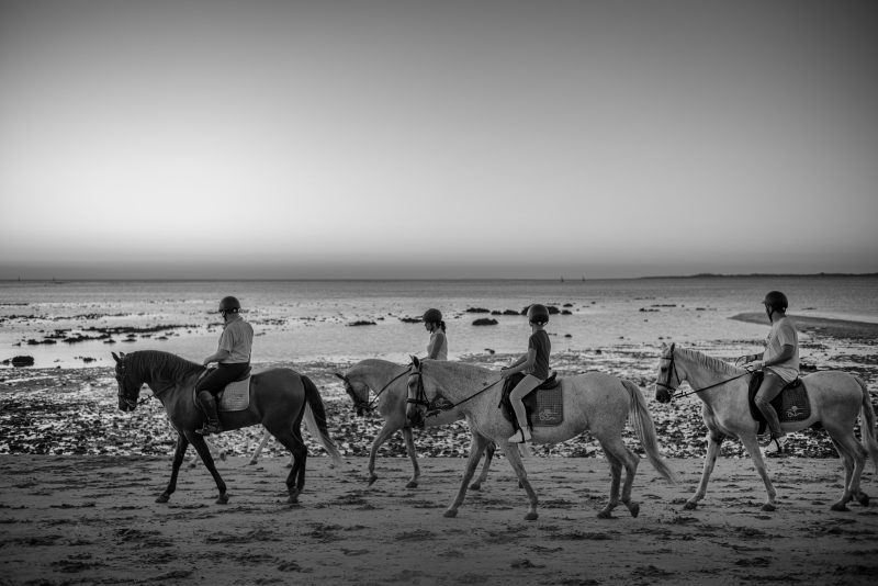 Fotografía de Alfonso Santos Alcalá — L1002550_copia