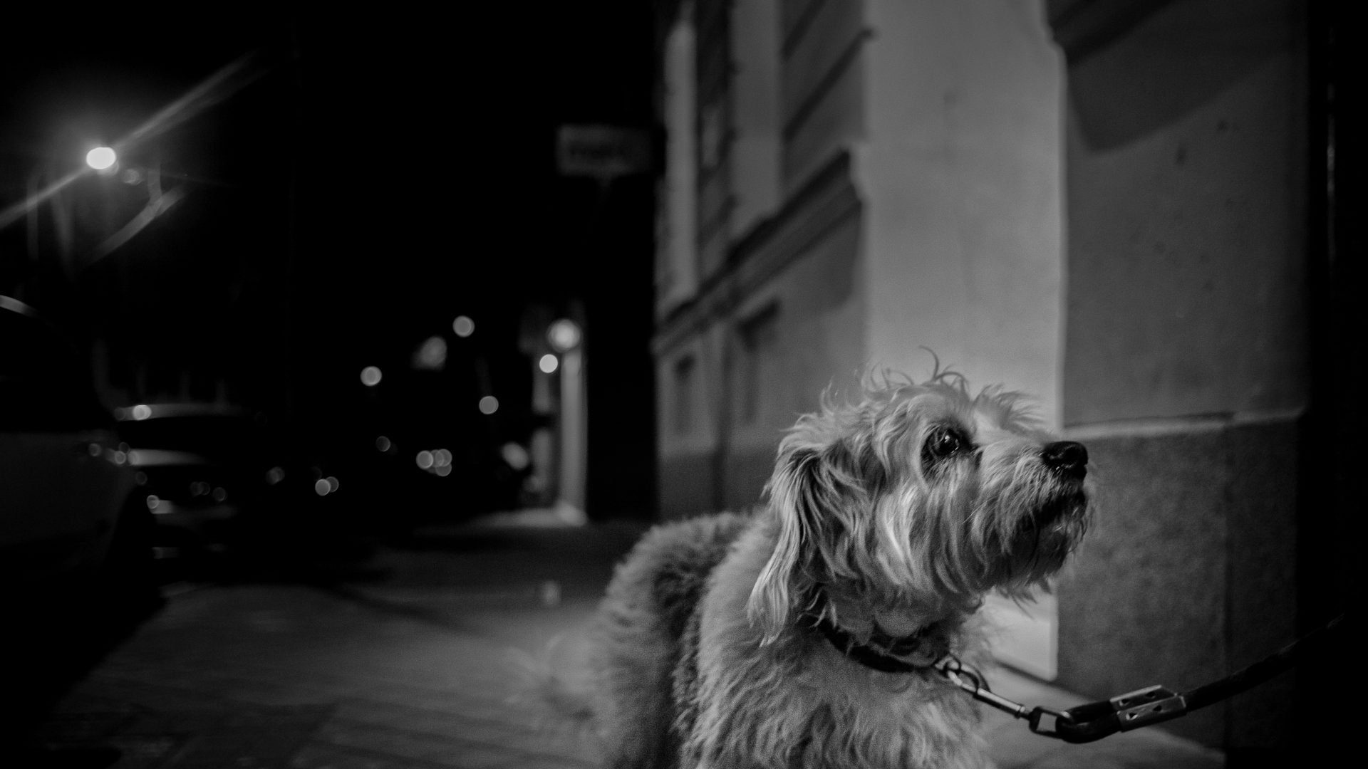 Fotografía de Alfonso Santos Alcalá — L1002563-1