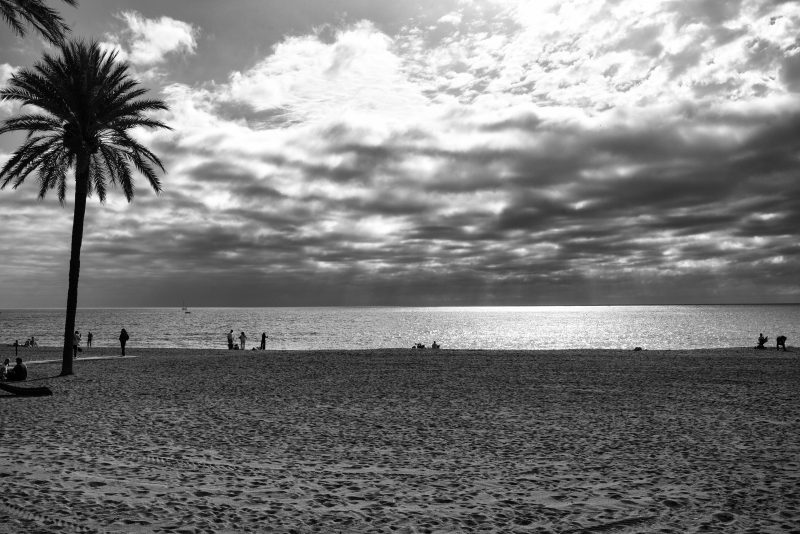 Fotografía de Alfonso Santos Alcalá — L1002796 copia