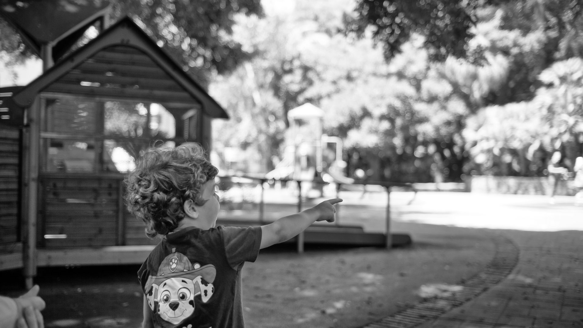 Fotografía de Alfonso Santos Alcalá — L1003045