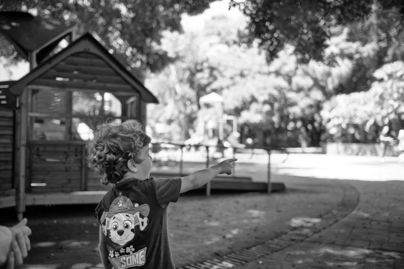 Fotografía de Alfonso Santos Alcalá — L1003045