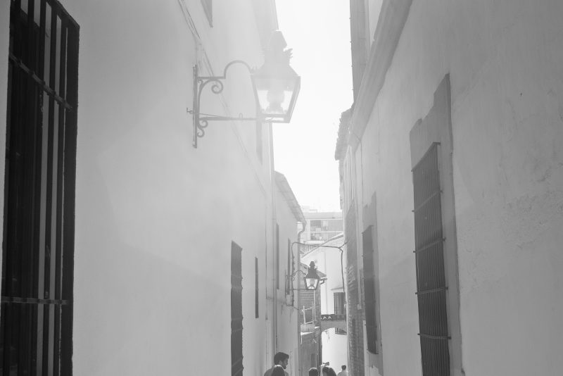 Fotografía de Alfonso Santos Alcalá — L1003265