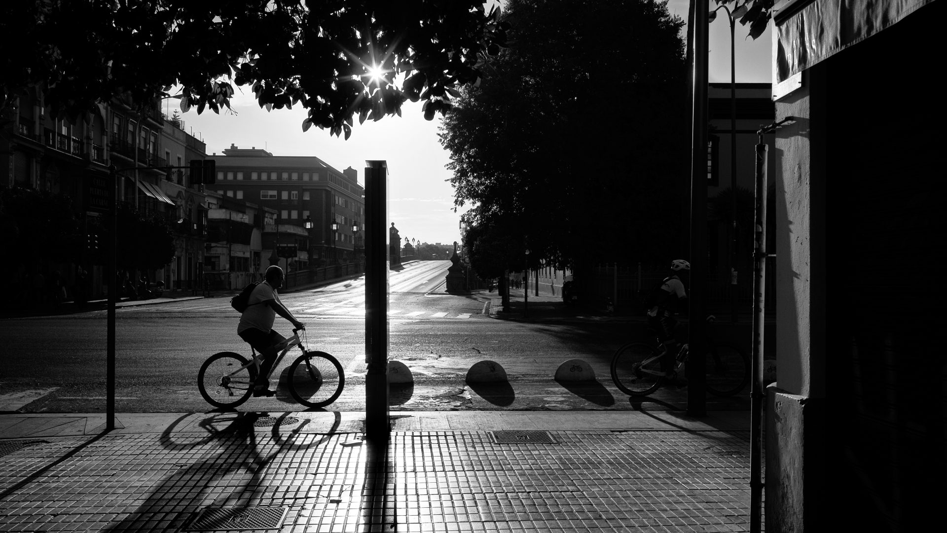Fotografía de Alfonso Santos Alcalá — L1003386