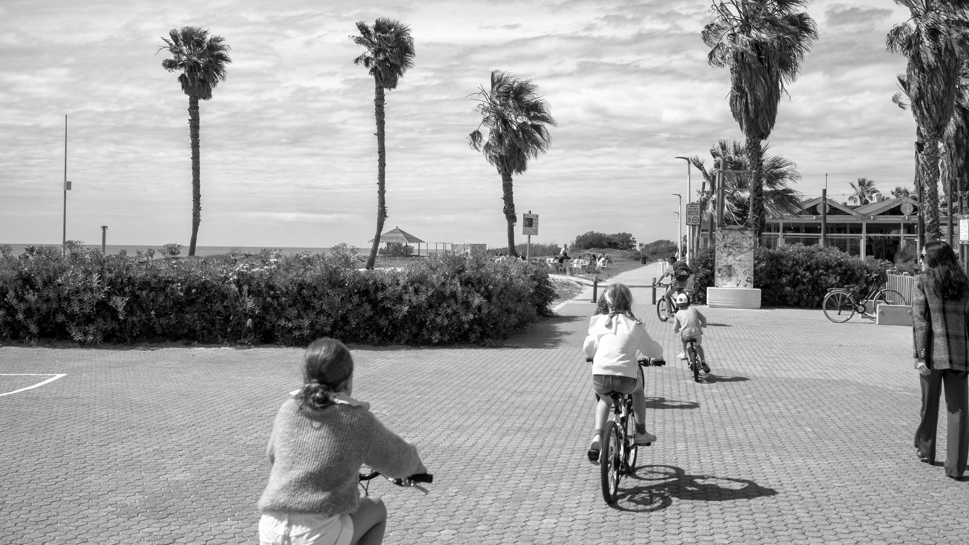 Fotografía de Alfonso Santos Alcalá — L1003411_copia