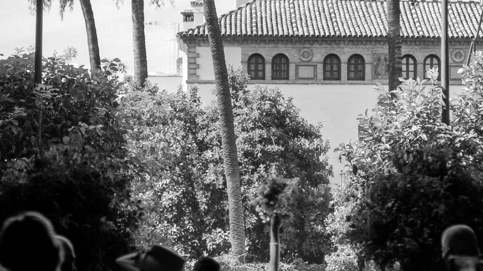 Fotografía de Alfonso Santos Alcalá — L1003557
