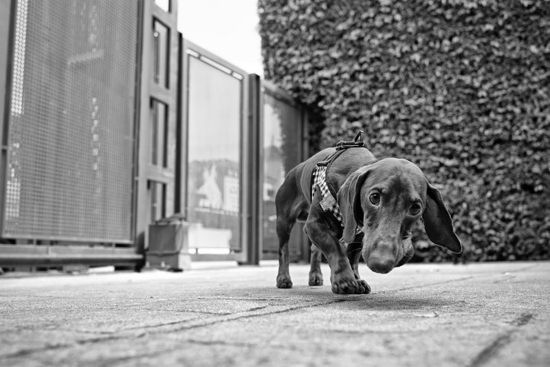 Fotografía de Alfonso Santos Alcalá — L1003593