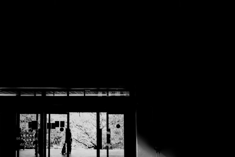 Fotografía de Alfonso Santos Alcalá — L1003600