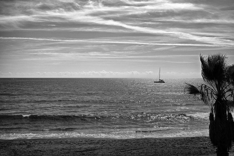 Fotografía de Alfonso Santos Alcalá — L1003648
