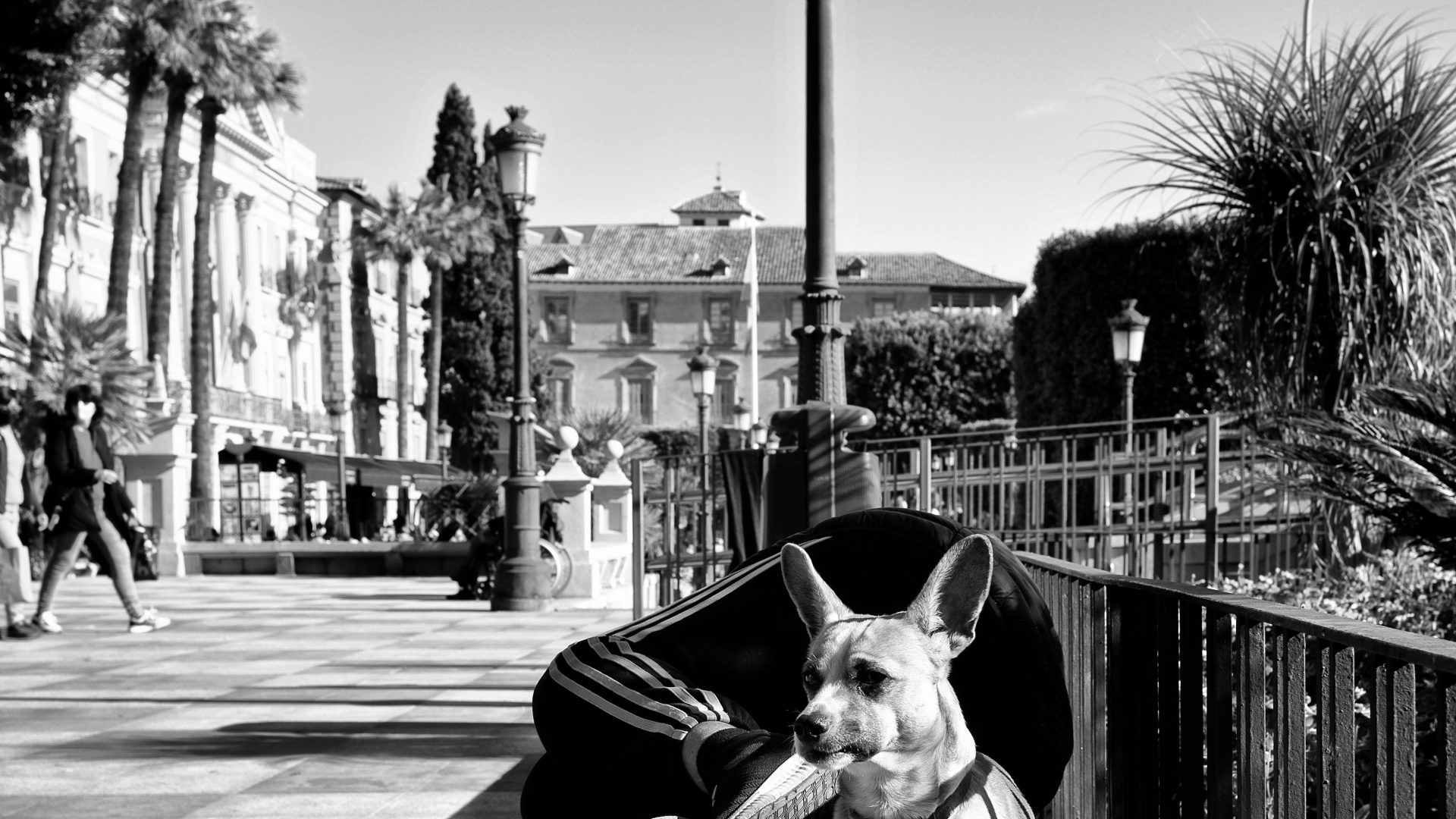 Fotografía de Alfonso Santos Alcalá — L1003766