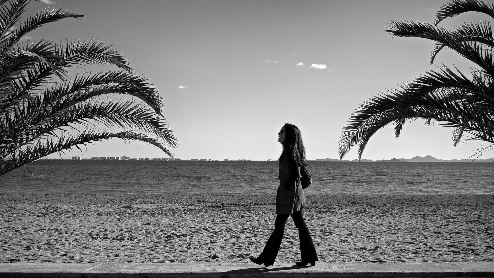 Fotografía de Alfonso Santos Alcalá — L1003787