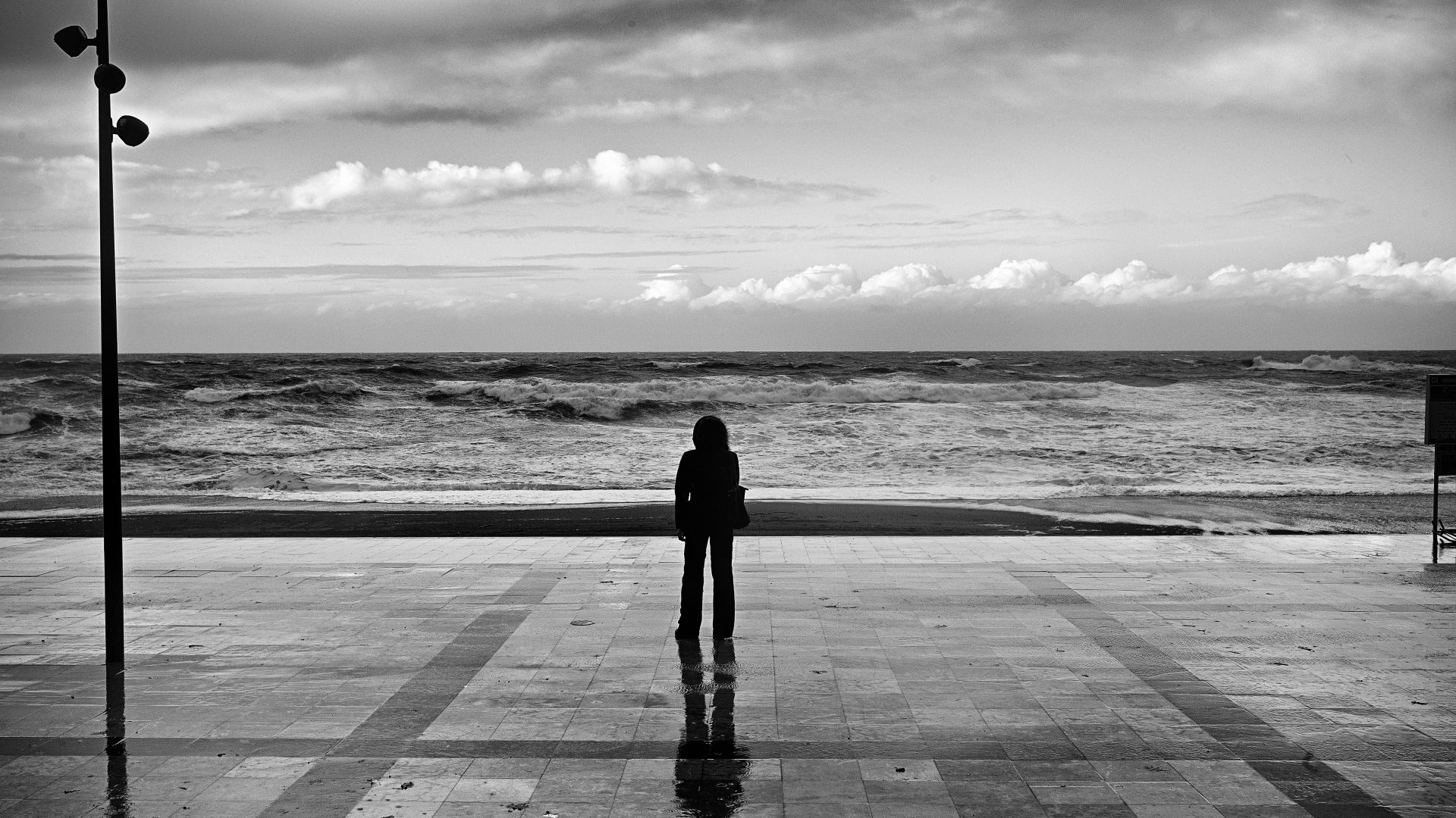 Fotografía de Alfonso Santos Alcalá — L1003883
