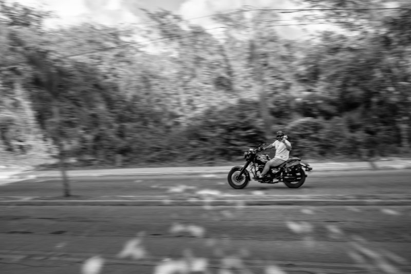 Fotografía de Alfonso Santos Alcalá — L1003927