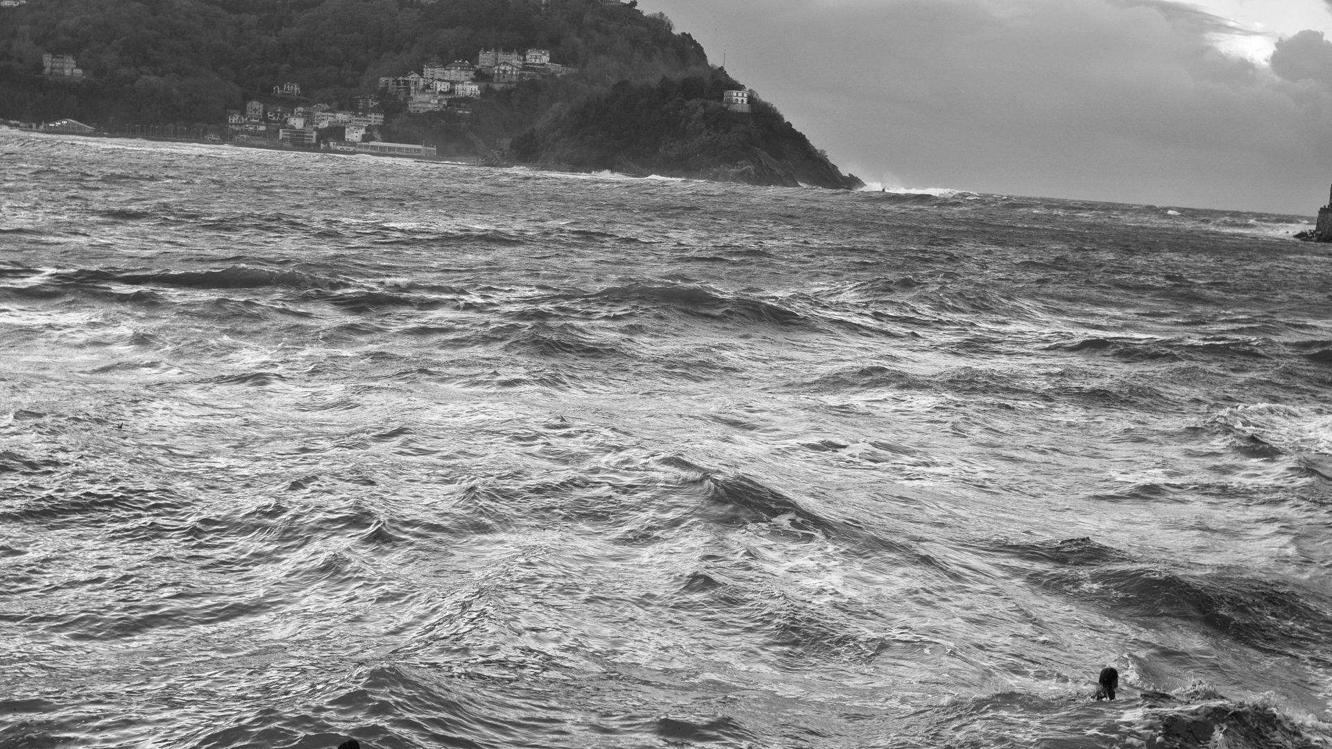 Fotografía de Alfonso Santos Alcalá — L1003936