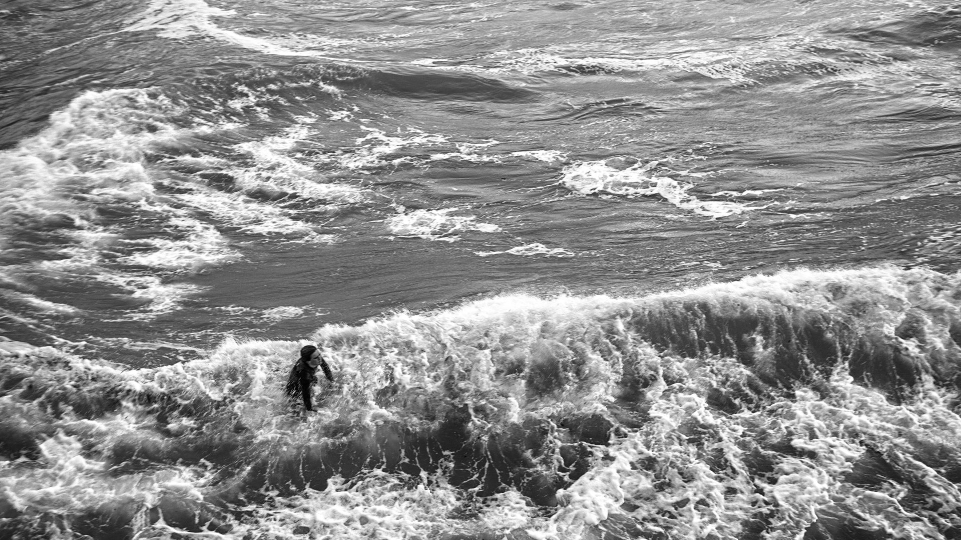 Fotografía de Alfonso Santos Alcalá — L1003947