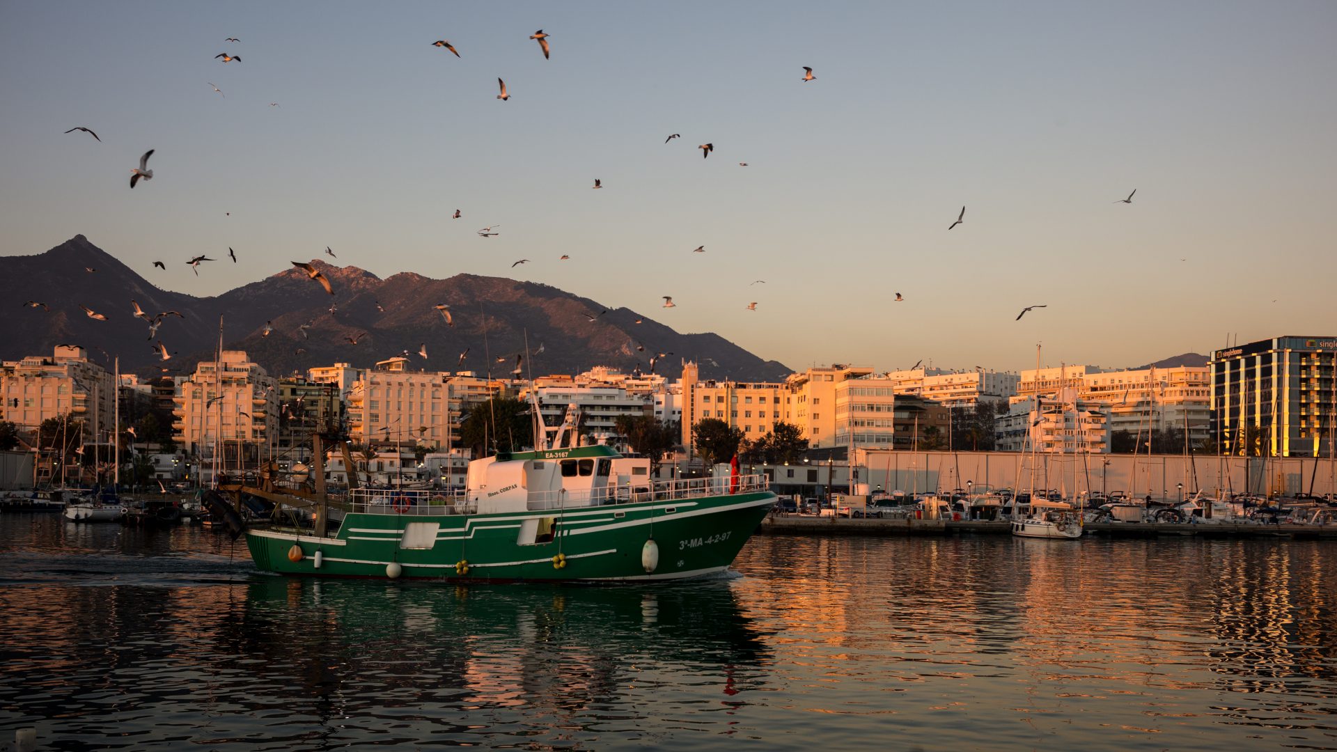 Fotografía de Alfonso Santos Alcalá — L1004444
