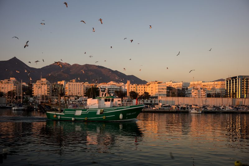Fotografía de Alfonso Santos Alcalá — L1004444