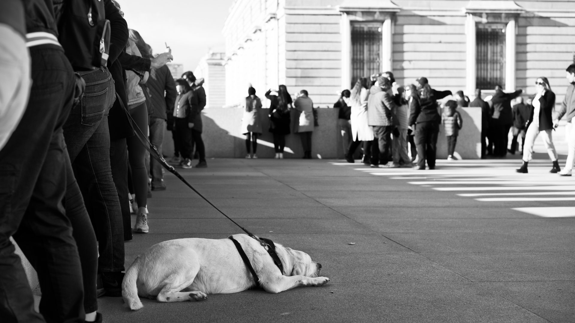 Fotografía de Alfonso Santos Alcalá — L1004860