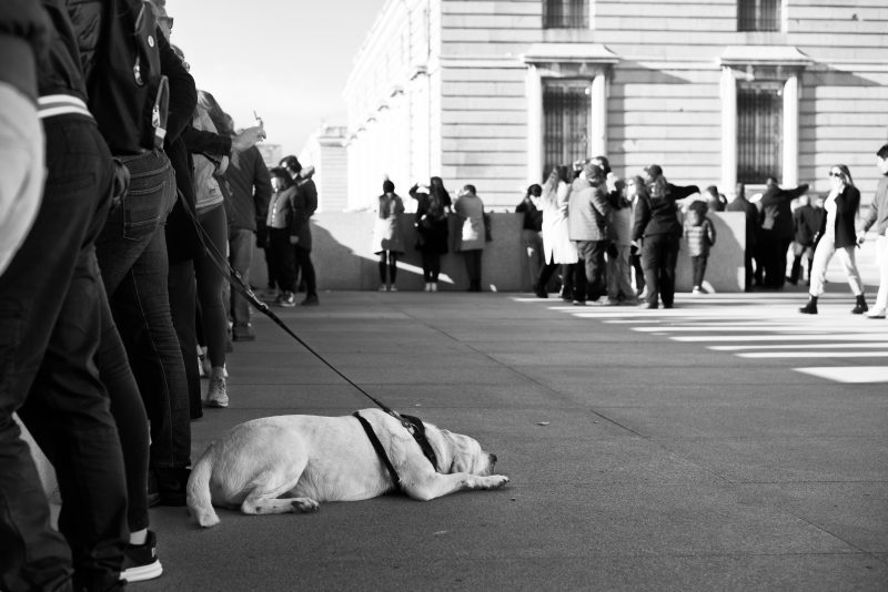Fotografía de Alfonso Santos Alcalá — L1004860
