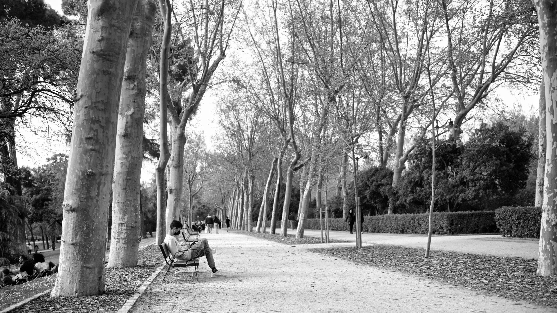 Fotografía de Alfonso Santos Alcalá — L1004967