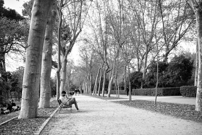Fotografía de Alfonso Santos Alcalá — L1004967