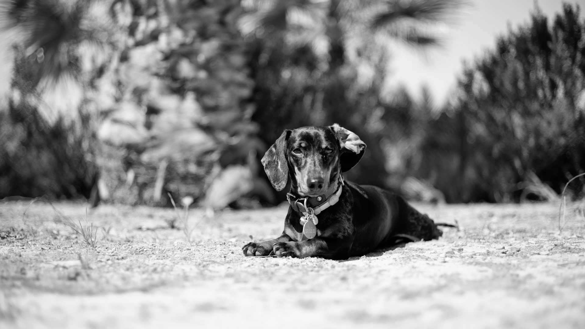 Fotografía de Alfonso Santos Alcalá — L1005070
