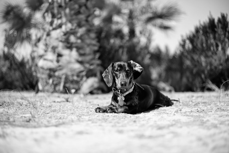 Fotografía de Alfonso Santos Alcalá — L1005070