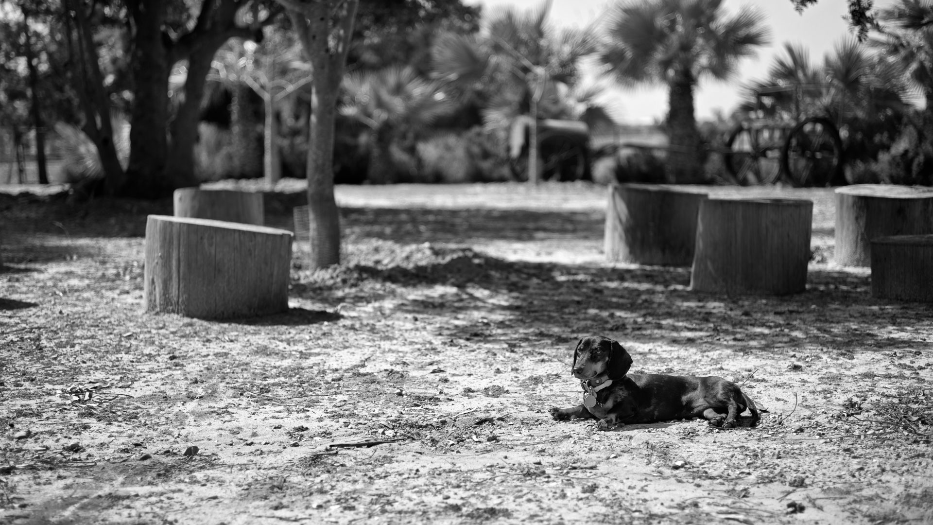 Fotografía de Alfonso Santos Alcalá — L1005075