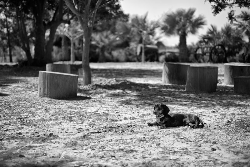 Fotografía de Alfonso Santos Alcalá — L1005075